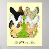 D'Uccles Six Hens Poster (Voorkant)