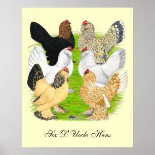 D'Uccles Six Hens Poster