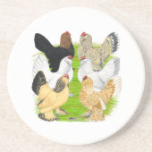 D'Uccles Six Hens Zandsteen Onderzetter (Voorkant)