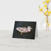Duck 907b kaart (Gele Bloem)