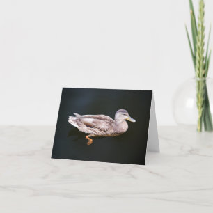 Duck 907b kaart