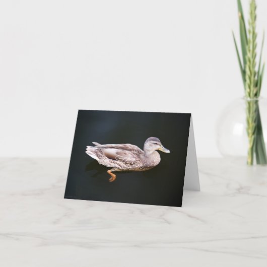 Duck 907b kaart (Voorkant)