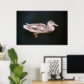 Duck 907b poster (Thuiskantoor)