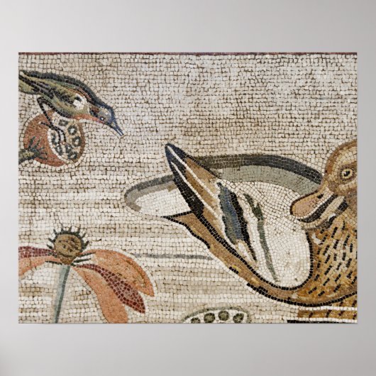 Duck and bird, Nile mosaic, House of the Faun Poster (Voorkant)