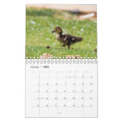 Duck and Geese Photography 2021 Calendar Kalender (Jan 2026)