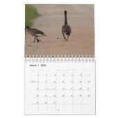 Duck and Geese Photography 2021 Calendar Kalender (Mar 2026)
