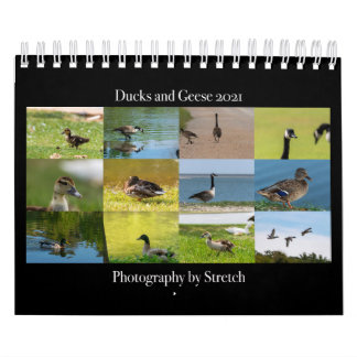 Duck and Geese Photography 2021 Calendar Kalender