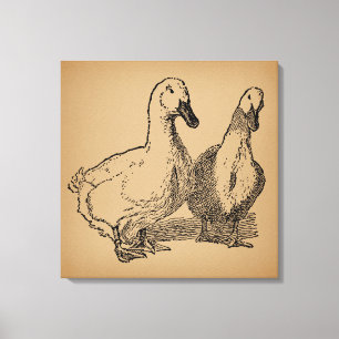 Duck Art Two Ducks Illustratie Canvas Afdruk