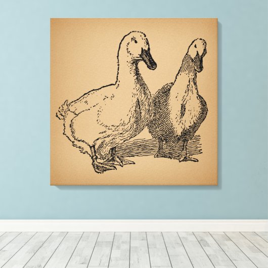  Duck Art Two Ducks Illustratie Canvas Afdruk (Insitu (Houten vloer))