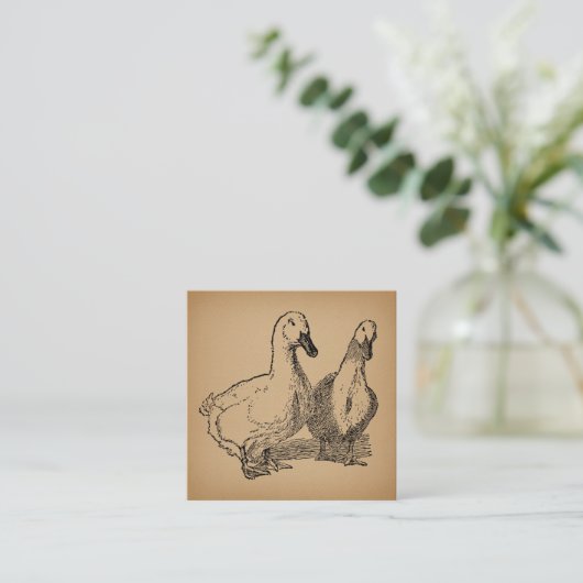  Duck Art Two Ducks Illustratie Informatiekaartje (Staand voorkant)