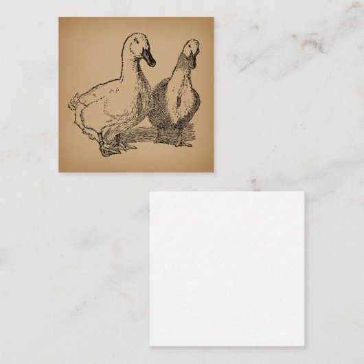 Duck Art Two Ducks Illustratie Informatiekaartje (Voorkant / Achterkant)