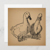 Duck Art Two Ducks Illustratie Kaart (Voorkant / Achterkant)
