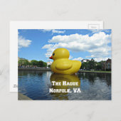 Duck at the Hague, Norfolk, VA Briefkaart (Voorkant / Achterkant)