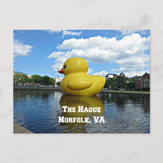 Duck at the Hague, Norfolk, VA Briefkaart (Voorkant)