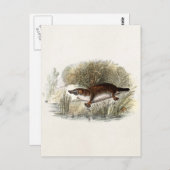  Duck Bill Platypus Illustration uit de jaren 1800 Briefkaart (Voorkant / Achterkant)