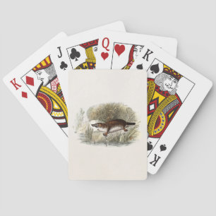  Duck Bill Platypus Illustration uit de jaren 1800 Speelkaarten