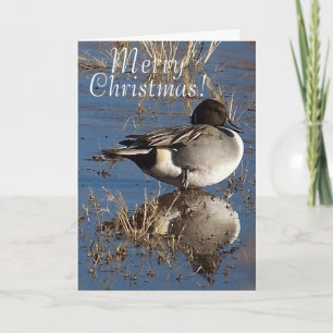Duck Bird Animal Christmas Feestdagen Kaart