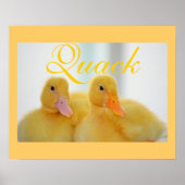 Duck Bird Animal Cute Chick Quack Poster (Voorkant)