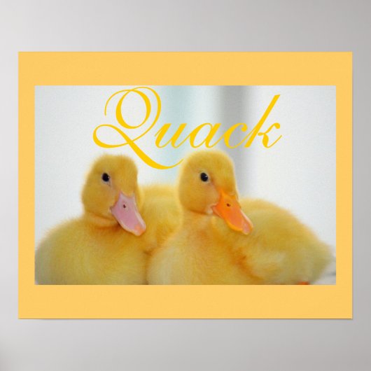 Duck Bird Animal Cute Chick Quack Poster (Voorkant)