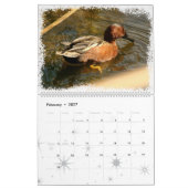 Duck Birds Wildlife Animals Ducking 2016 2017 Kalender (Feb 2027)