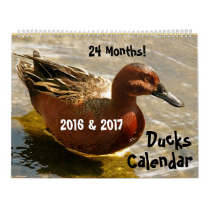 Duck Birds Wildlife Animals Ducking 2016 2017 Kalender