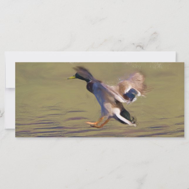 Duck Bladwijzer (Voorkant)