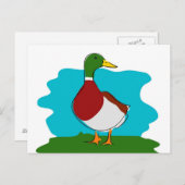Duck Briefkaart (Voorkant / Achterkant)