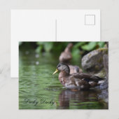 Duck Briefkaart (Voorkant / Achterkant)
