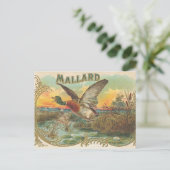 Duck Briefkaart (Staand voorkant)