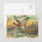 Duck Briefkaart (Voorkant / Achterkant)