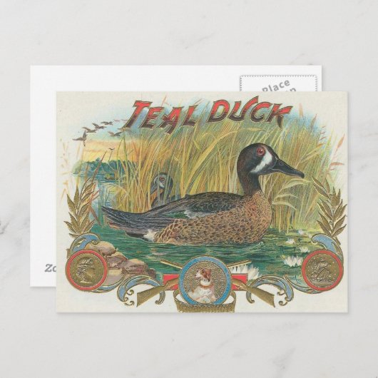 Duck Briefkaart (Voorkant / Achterkant)