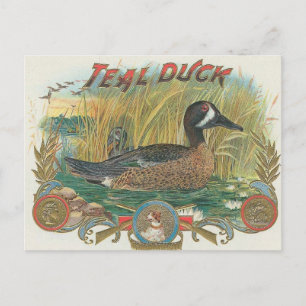 Duck Briefkaart