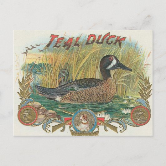 Duck Briefkaart (Voorkant)