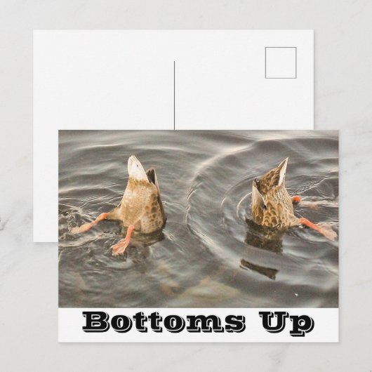 Duck Briefkaart (Voorkant / Achterkant)