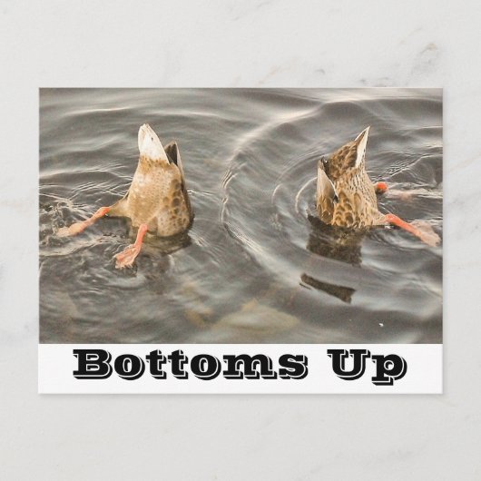 Duck Briefkaart (Voorkant)