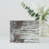 Duck Briefkaart (Staand voorkant)