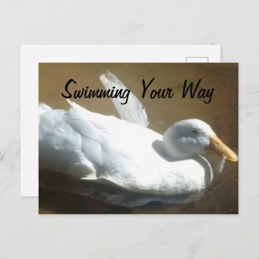 Duck Briefkaart (Voorkant / Achterkant)