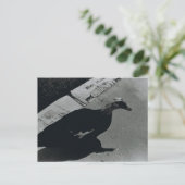 Duck Briefkaart (Staand voorkant)