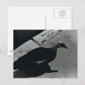 Duck Briefkaart (Voorkant / Achterkant)