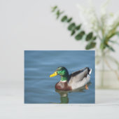 Duck Briefkaart (Staand voorkant)