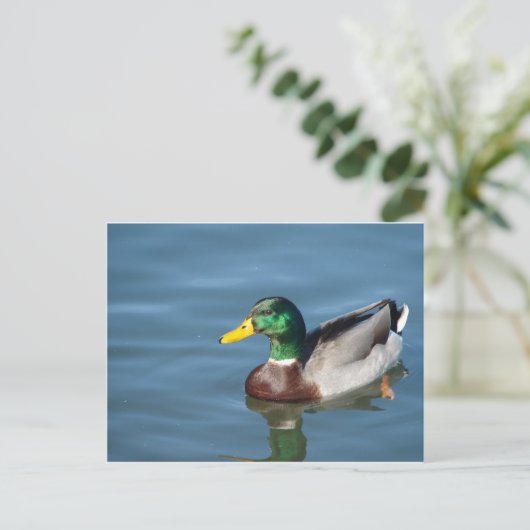 Duck Briefkaart (Staand voorkant)