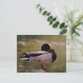 Duck Briefkaart (Staand voorkant)