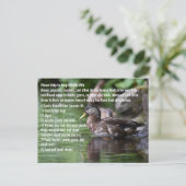 Duck Briefkaart (Staand voorkant)