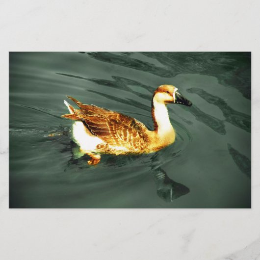 Duck Briefpapier (Voorkant)