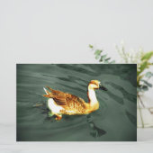 Duck Briefpapier (Staand voorkant)