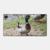 Duck Bureaumat (Voorkant)