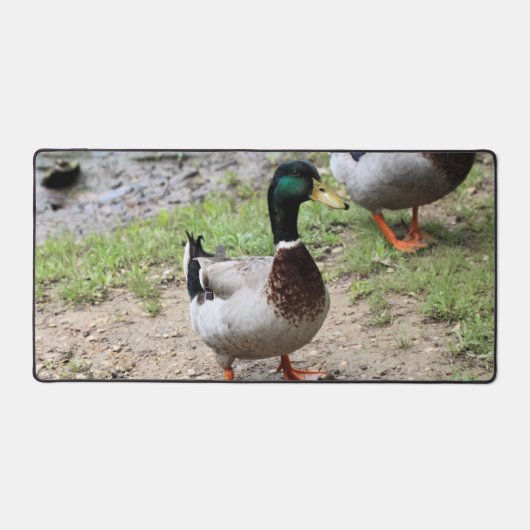 Duck Bureaumat (Voorkant)