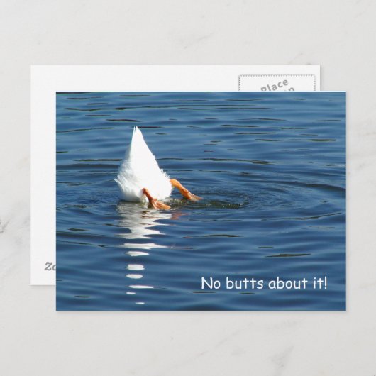Duck Butt Humor Post Card Briefkaart (Voorkant / Achterkant)
