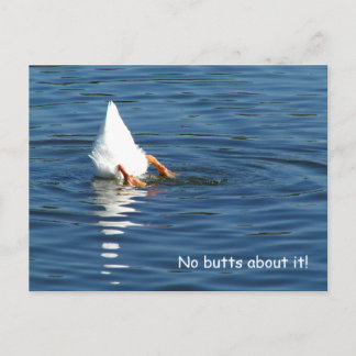 Duck Butt Humor Post Card Briefkaart