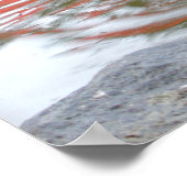 Duck Butt Poster (Hoek)